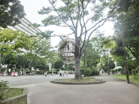 裏路地