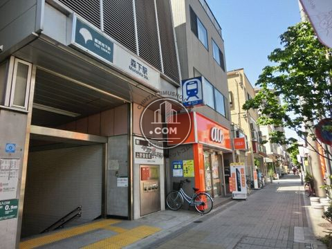 駅周辺