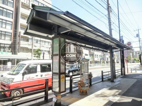 大通り