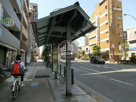 大通り