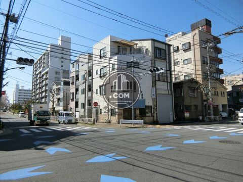 大通り