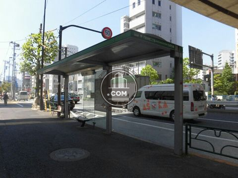 大通り