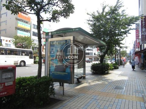 大通り