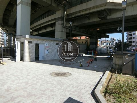 大通り