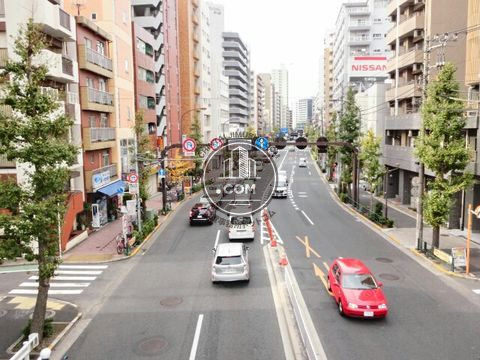 大通り