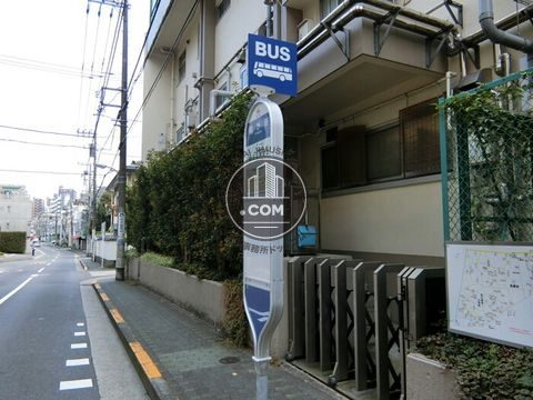 大通り