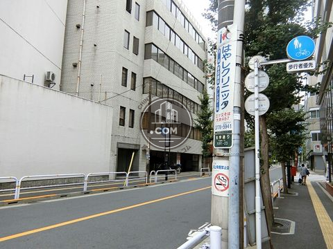 大通り