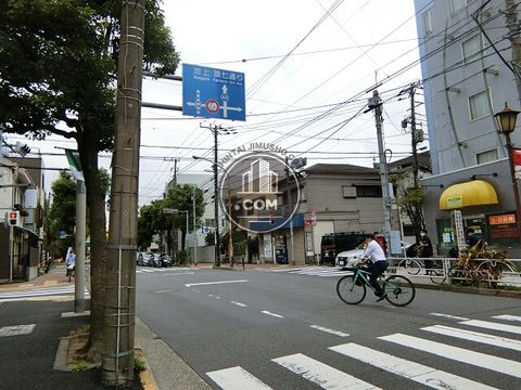 大通り
