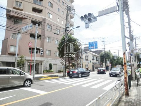 大通り