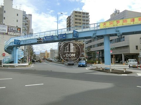大通り
