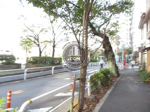 大通り