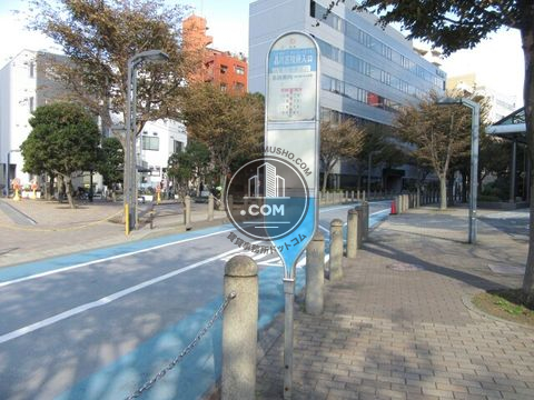 大通り