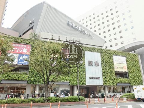 大通り