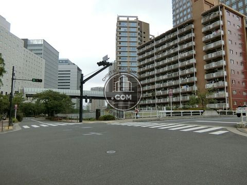 大通り