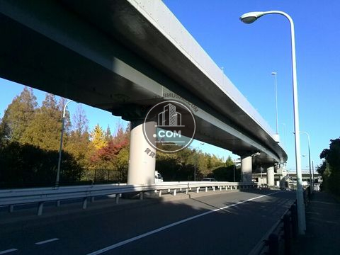 大通り