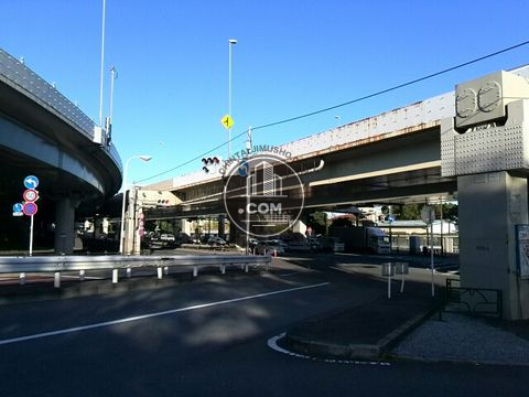 大通り
