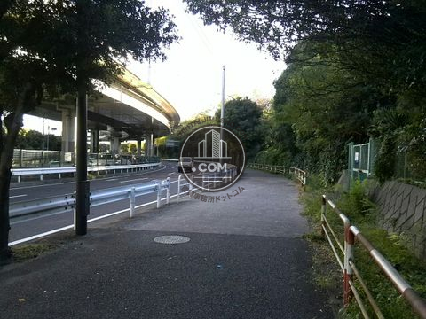 大通り