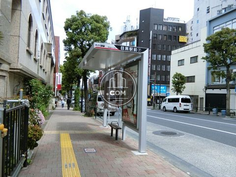 大通り