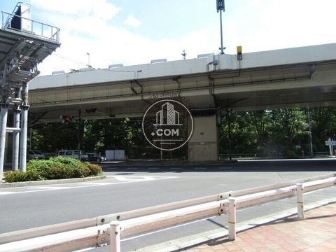 大通り
