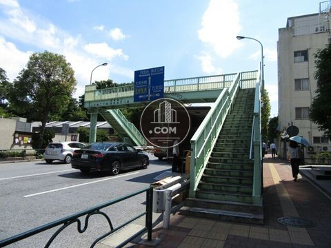 大通り