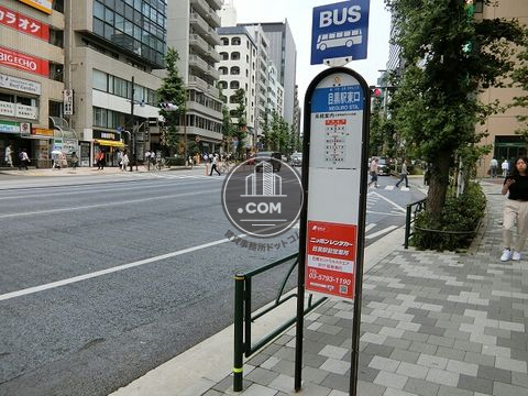 大通り