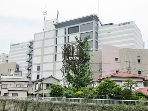 大通り