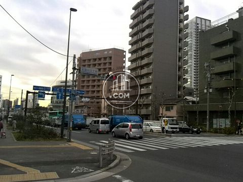 大通り