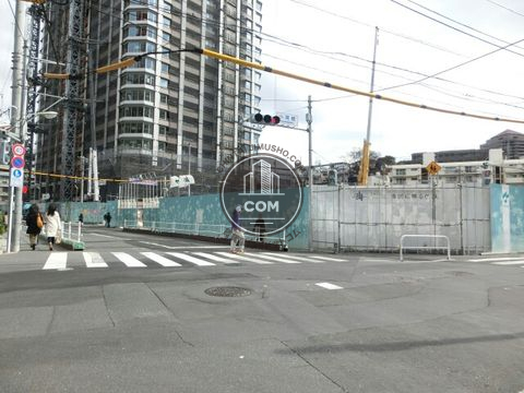 大通り