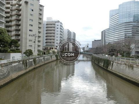 大通り