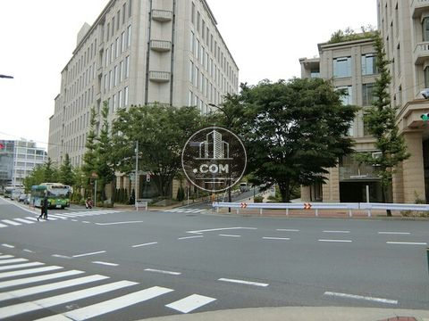 大通り