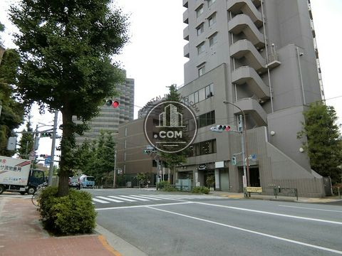 大通り