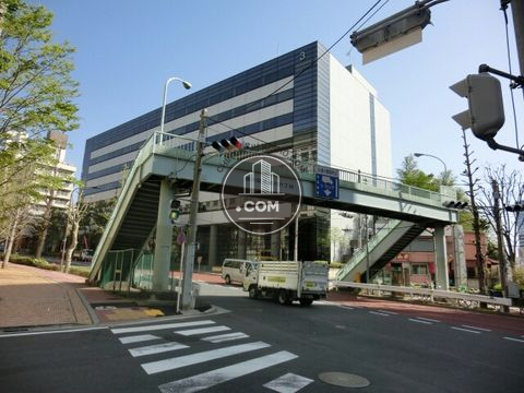 大通り