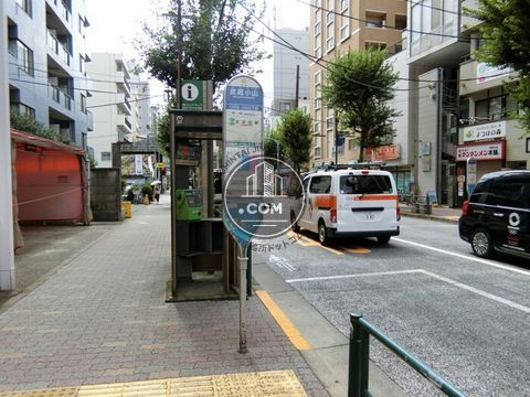 大通り