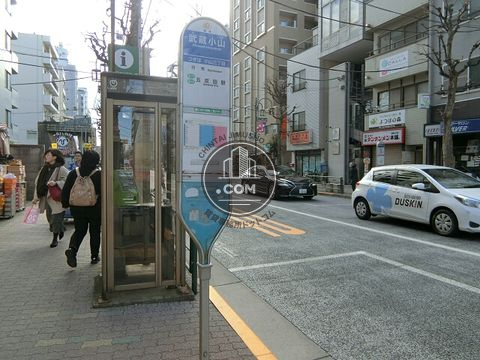 大通り