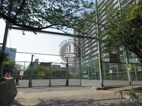 大通り