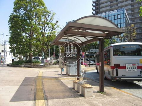 大通り
