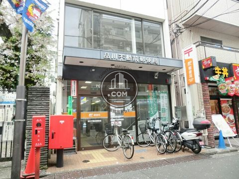 大通り