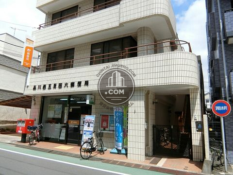 大通り