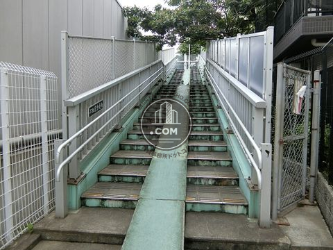 大通り