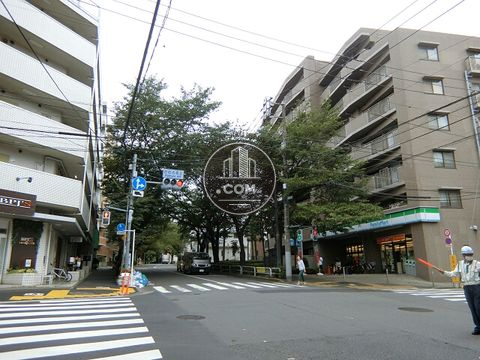 大通り