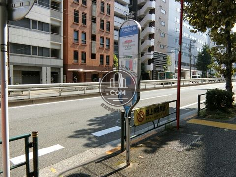 大通り