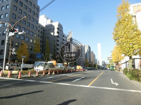 大通り