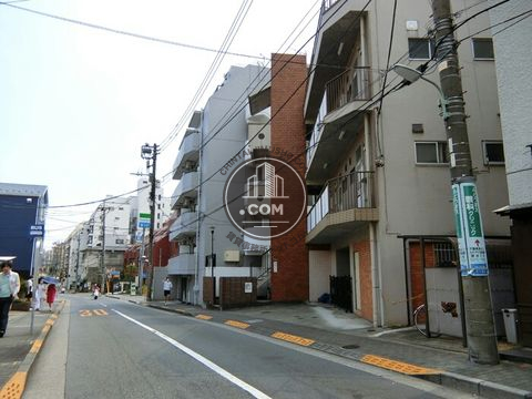 大通り