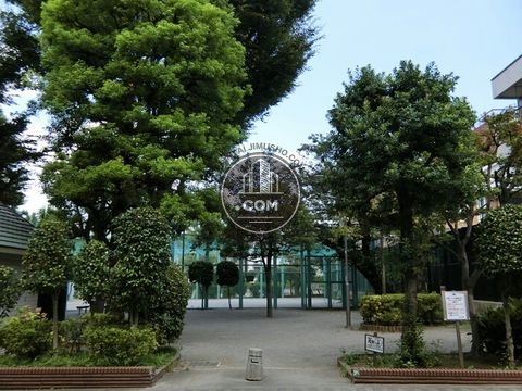 裏路地