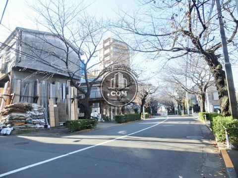 大通り