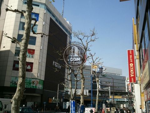 大通り