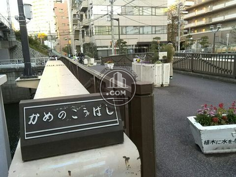 裏路地