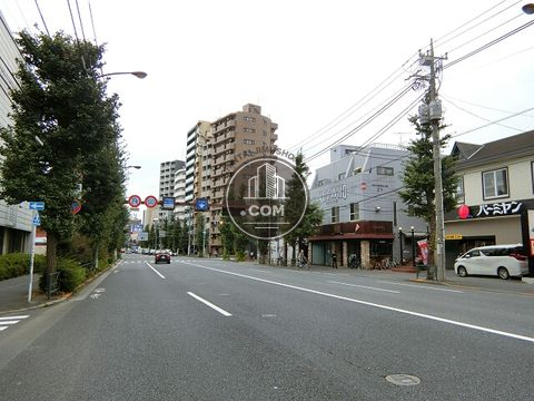 大通り