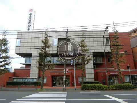 大通り