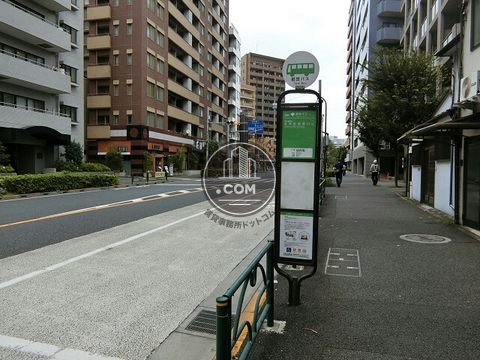 大通り